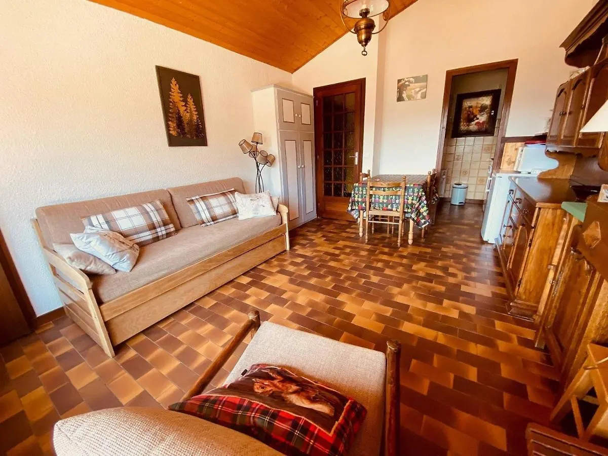Apartment 2 Pieces Cabine Sans Pretention Avec Balcon Et Parking - Fr-1-459-47 La Clusaz France